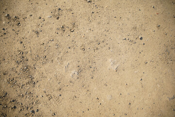 sandy soil with tiny crushed stone wallpaper