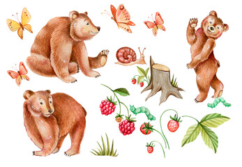 illustration seamless pattern with brown bears and berries