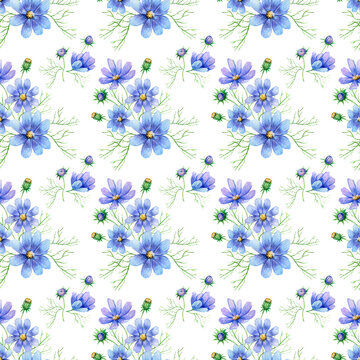 illustration seamless pattern with blue flowers of cosmea