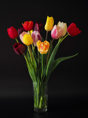 BOUQUET OF COLORFUL TULIPS ON A DARK BACKGROUND