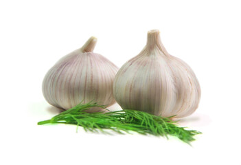 two heads of garlic with dill on a white background