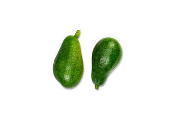 AGUACATE O PALTA