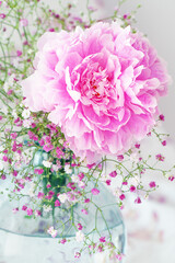 floral composition with a peony flower on a light background
