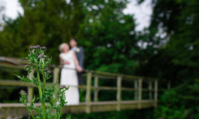 Bride and Groom in the background behind Scottish thistle