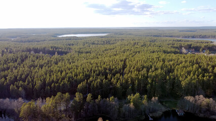 Aerial view of the lake Borisovskoye, the forest and the settlement in autumn day, Borisovo,...