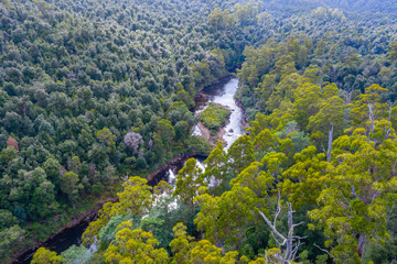 Aerial view of Arthur river at Tarkine forest in Tasmania, Australia