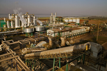 sugar cane and ethanol plant