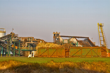 sugar cane and ethanol plant