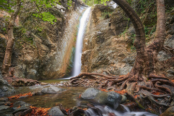 Autumn landscape with beautiful small waterfall splashing in the canyon and yellow autumn maple leaves in the ground at Troodos mountains in Cyprus - Panorama Millomeri waterfall 