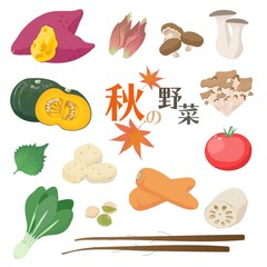日本の秋の野菜のイラストセット