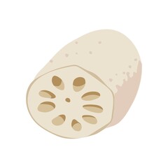 蓮根（蓮）のイラスト