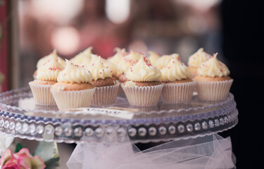 Mini cupcakes on a tray