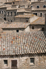Obraz premium houses roofs and windows.