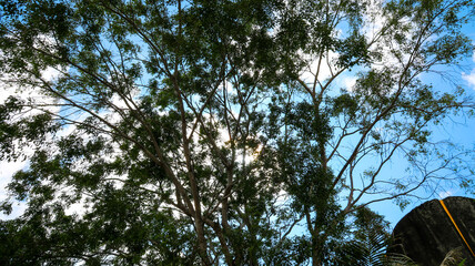 Beautiful park and statue in Bali Indonesia