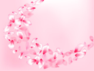 Fototapeta na wymiar Japanese cherry blossom pink flying petals
