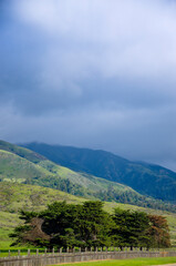 Andrew Molera SP, California Coast, USA