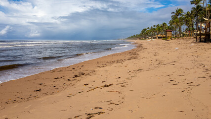 Beautiful beach in Brazil. Sea and palm trees. Amazing ocean in Bahia, Brazil 