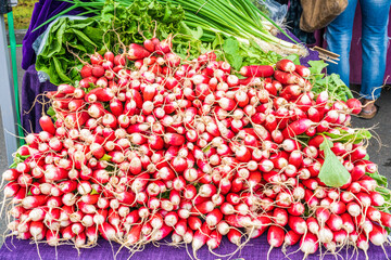 Display of delicious looking fresh raw red radishes for sale at local farmer's market