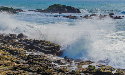 Obraz premium Waves Crashing on Coastal Rocks, Point Lobos State Natural Reserve, California, USA