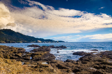 Fototapeta na wymiar Point Lobos State Natural Reserve, California, USA