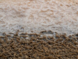 view Salt farm at the sea with beautiful bloody at Salt farm. Salt farms 