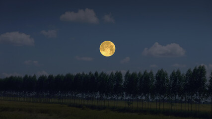 Beautiful full moon in blue sky over the field
