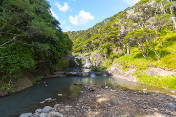 Peaceful Place and Calm Water at Waimanu Waterfalls Bethells Beach Auckland, New Zealand