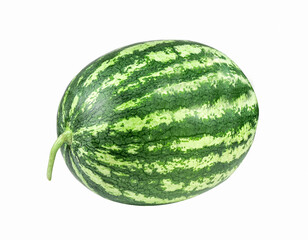 whole watermelon isolated on white background.