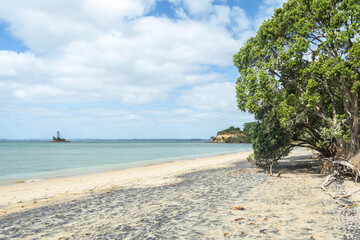 Landscape Scenery of Awhitu Regional Park Beach during Low Tide; Kauritutahi Beach; Auckland New Zealand