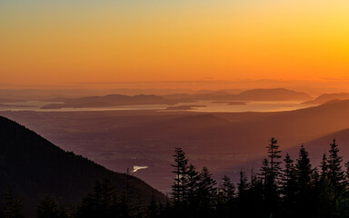 Skagit Valley Orange