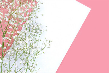 delicate white gypsophila flowers on a pink background and a white sheet of paper for text