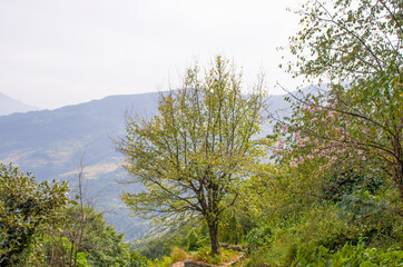 Beautiful tropical landscape of Mount Nepal Himalayas

