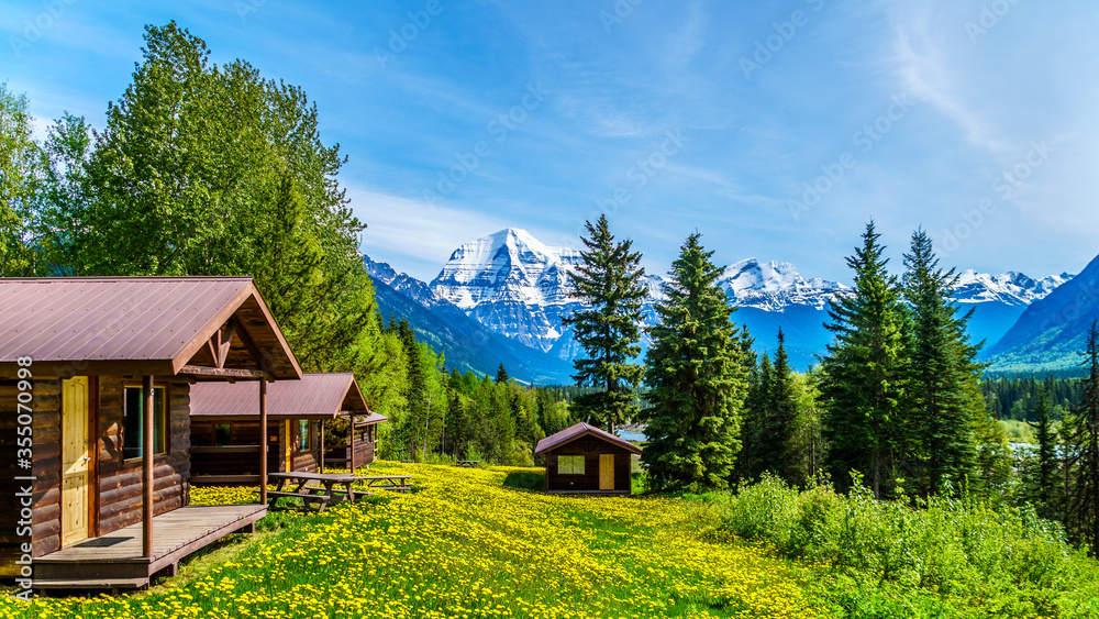 Wall mural cabins surrounded by dandelions in robson provincial park, with the highest snow covered peak of mou