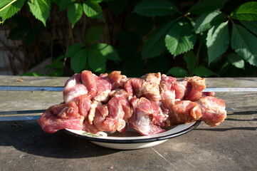Pieces of pork meat strung on skewers for barbecue.(shish kebab, shashlik)