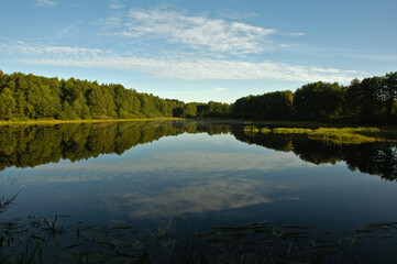 Fototapeta na wymiar Morning on the forest lake in Moscow region