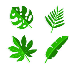 Tropical plant leaves, balanus, ferns, tile pattern