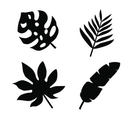 Tropical plant leaves, balanus, ferns, tile pattern
