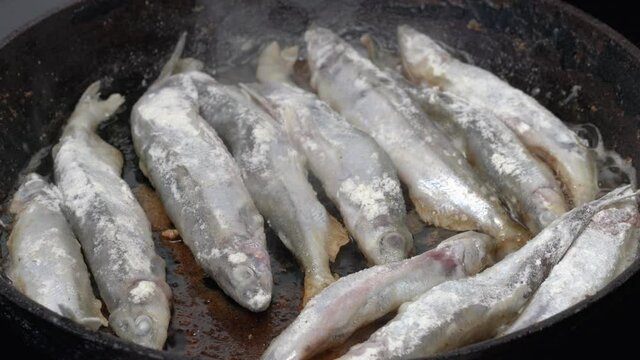 View of cooking frying capelin fish in iron pan. Grilled caplin fish - traditional Chinese food where entire fish, from head to tail, bones and roe can be enjoyed as an appetizer or side dish.