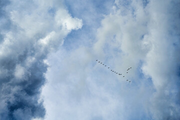 Sky