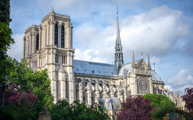 Fototapeta na wymiar Notre Dame de Paris in a beautiful summer day. View from a side.
