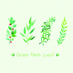 초록색 허브 일러스트레이션