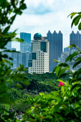 Urban tall buildings and urban forests in Nanning, Guangxi, China