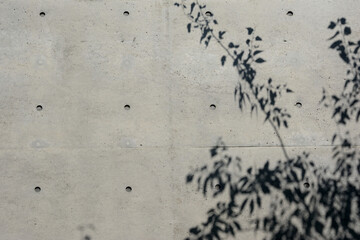 Tree shadow on concrete wall