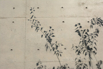 Tree shadow on concrete wall