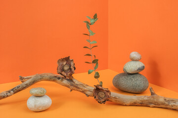 Layout made of from tree branch, dried flowers, eucalyptus and stones in corner space on orange background. Creative composition for your design. Front view