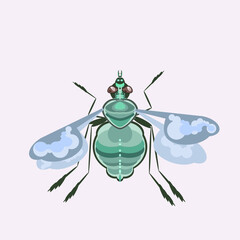 Fly is a nasty buzzing insect vector illustration.