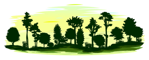 Morning forest silhouette. Vector landscape isolated. The sun has not yet risen. Bright twilight. Trees, shrubs, grass. The hills.