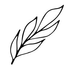 doodle style vector element, pattern, cute twig with leaves, coloring book