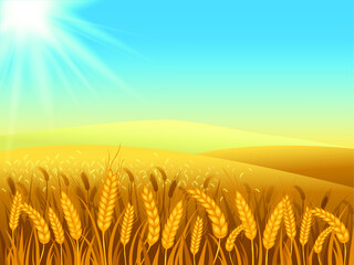 Rural landscape with wheat fields and green hills on background. Vector illustration. © StevyG