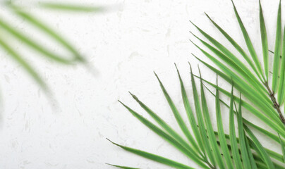 Palm leaves on white quartz countertop with copy space, flat lay